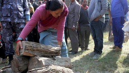 Pasokan Bahan Bakar Habis, Negara Ini Gunakan Kayu Bakar Secara Nasional