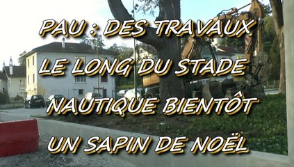LES W-D.D. MICHOU NEWS - 15 NOVEMBRE 2015 - PAU - DES TRAVAUX LE LONG DU STADE NAUTIQUE - BIENTÔT UN SAPIN DE NOËL.