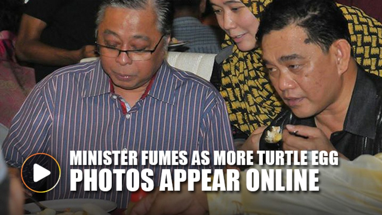 More turtle egg-eating photographs surface