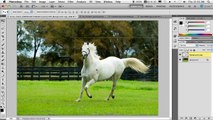 Adobe Photoshop CS5 Complete Course English Language Lesson 01