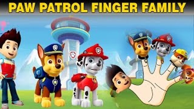 Paw Patrol Finger Family Nursery Rhymes Paw Patrol Cartoon Animated English Rhymes for Kid