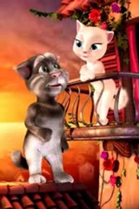 Funny punjabi_Urdu talking Tom video