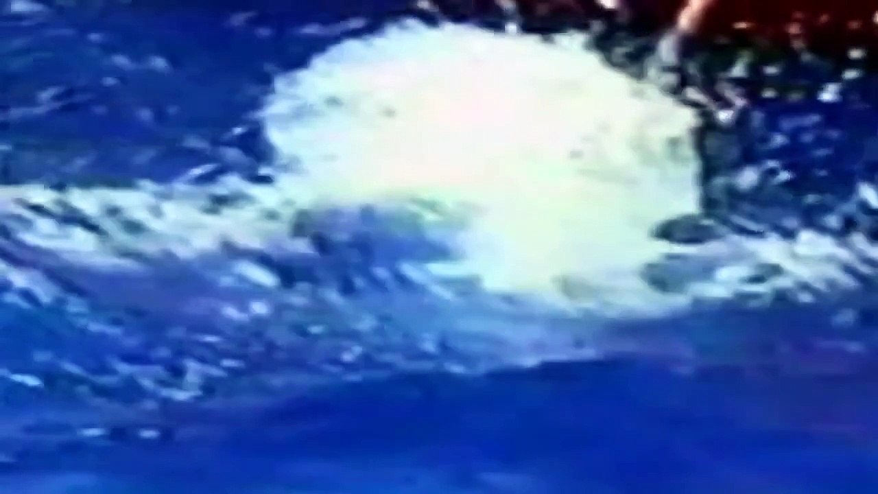 Great White Shark Attacks On Humans Caught On Tape [Full Nature Wildlife Documentary HD]