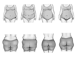 four types of woman body