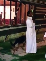 تفرج البو كشطة كيفاش يفدلكوا ماسة لاست