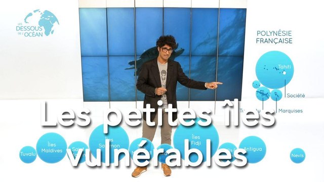 Les petites îles vulnérables - Les dessous de l'Océan 1x08
