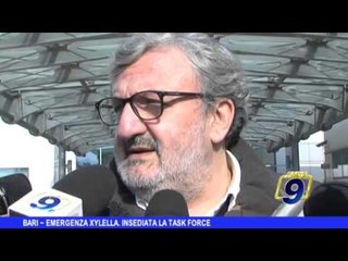 BARI | Emergenza xylella, insediata la task forze