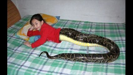Snake Girl REAL OR FAKE