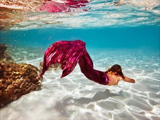 Real Mermaid Found - BEAUTY OF MERMAID S