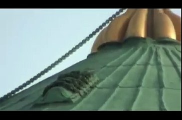 Window on Prophet Muhammad's (PBUH) Tomb in Madinah
