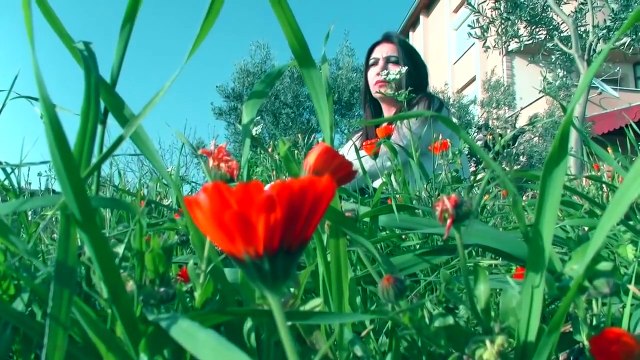 Ahmed Yehya Kobanê 2015 HD KURDISH MUSIC 2015 KÜRTÇE MÜZİK 2015 MUZIKA KURDI 2015