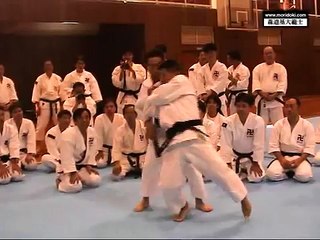 Increíble demostración de Shorinji Kempo