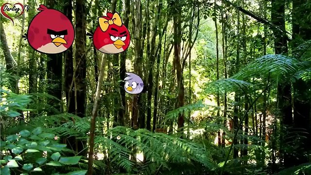 The Finger Family Angry Birds _ Family Nursery Rhyme _ Angry Birds Finger Family Songs , Animated cartoon watch online free 2016