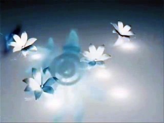 Every Time Follow the Sunnah - Hazrat Molana Aamir Akhtar Naqshbandi Mujaddidi D.B