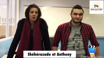 BEE AFORP - Partie 3