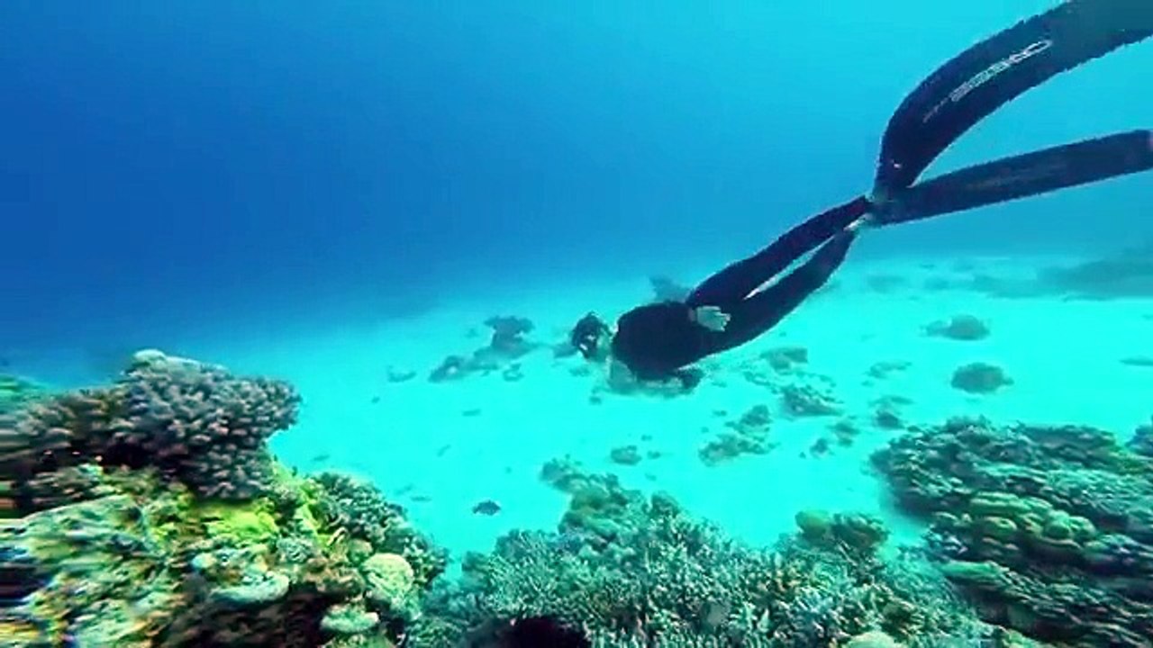 Sihem & Kahina Plongée 19-11-015 aux Iles Habibas