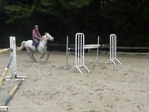 ORACLE DES GENETS par Ibiza des Genets ( kilkaldy darling!!) et Don Juan V (Co)