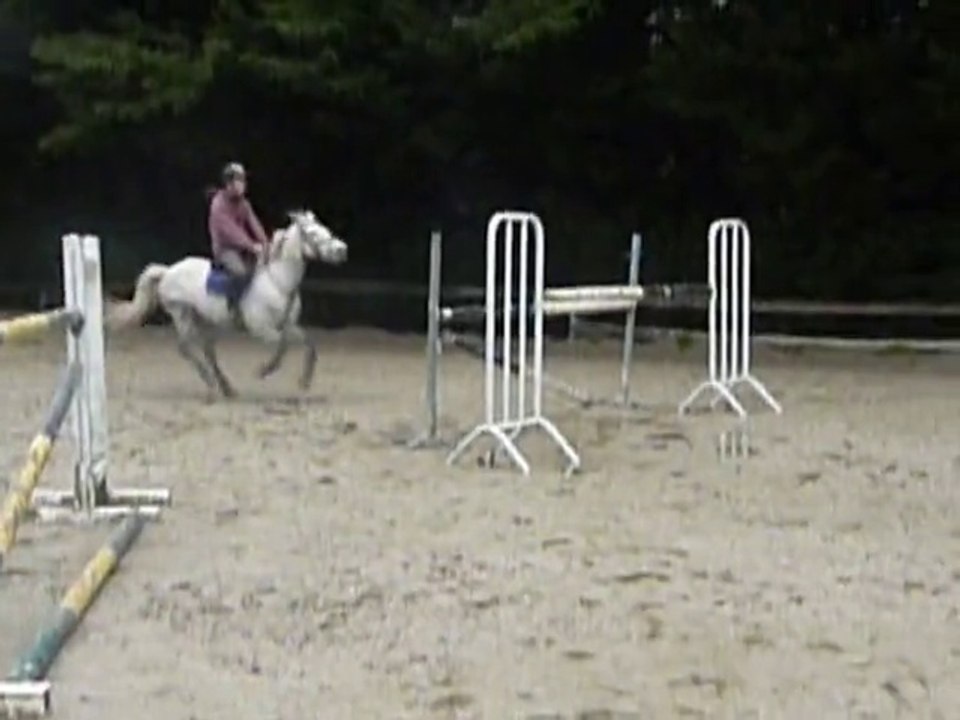 ORACLE DES GENETS par Ibiza des Genets ( kilkaldy darling!!) et Don Juan V (Co)