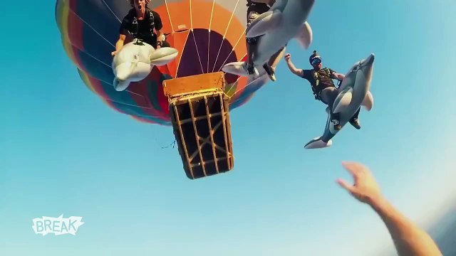 Life Like a Boss! - Breaking Videos