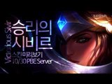 승리의 시비르 스킨 미리보기