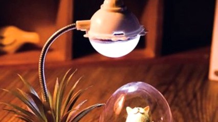 Ý TƯỞNG KINH DOANH HAY CHO NGÀY NHÀ GIÁO VIỆT NAM