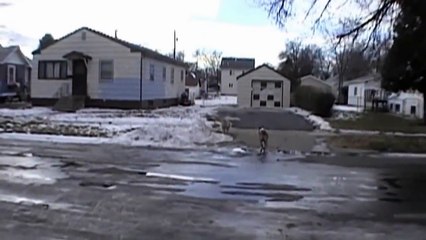 Кот против Собаки.Супер бой !