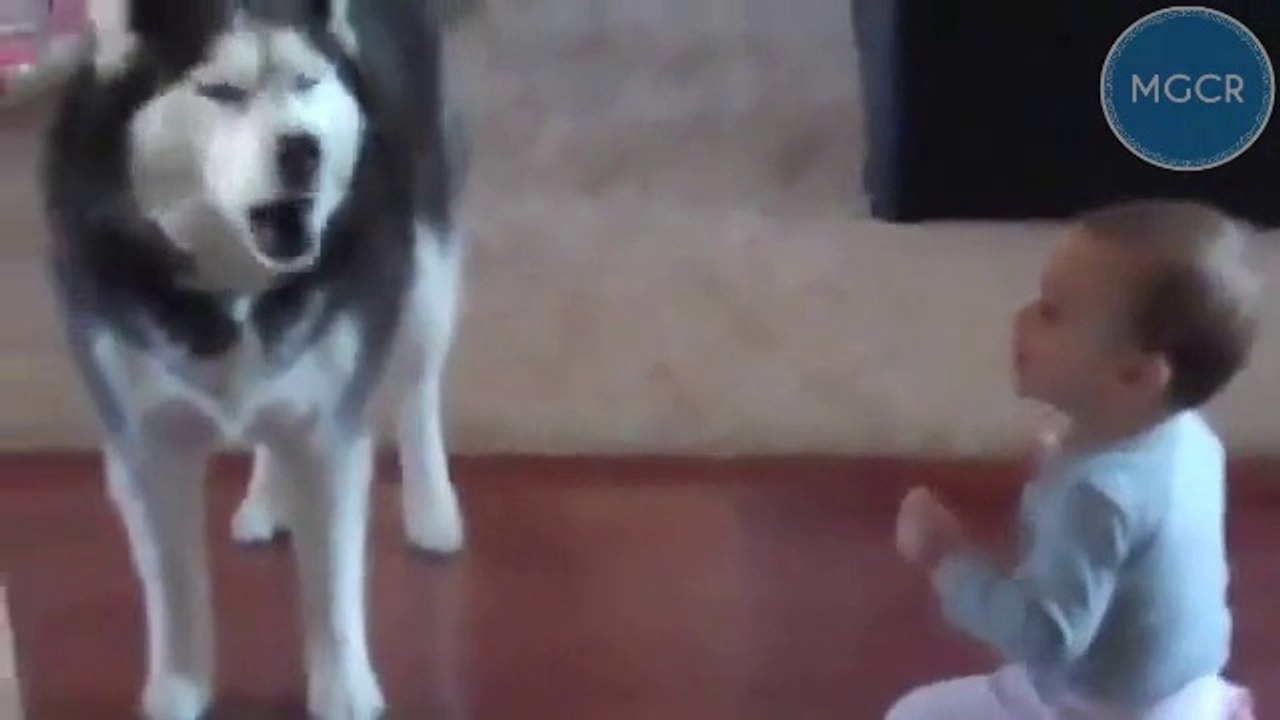 conversazione...canina