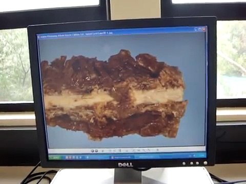 Veterinary Pathology