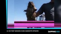 Un homme marche sur un fil à 500 mètres du sol