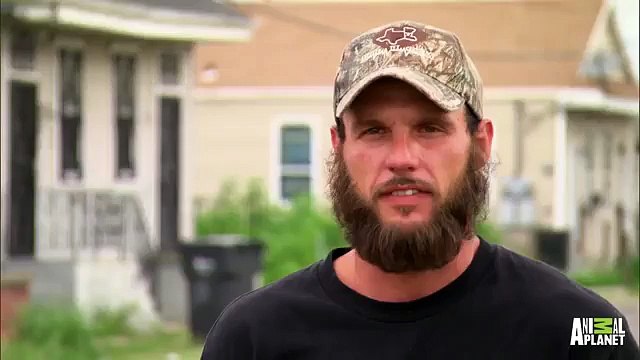 Heartbreak and Euphoria for Mama Dog and Her Pups