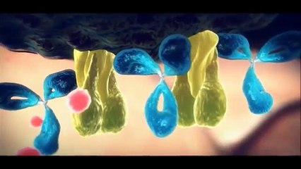 Alexander Hernandez OFICIAL