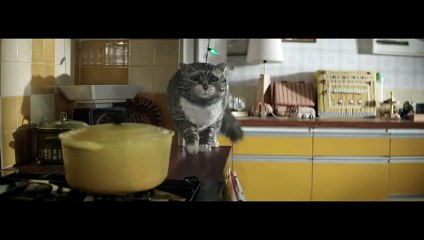 Le Noël du chat Mog