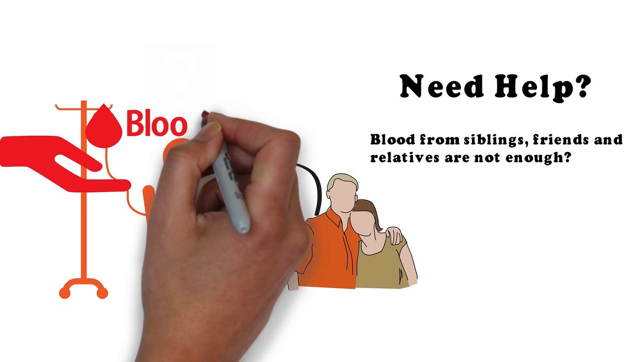 blooddoner.me