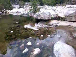 Piscine naturelle en montagne