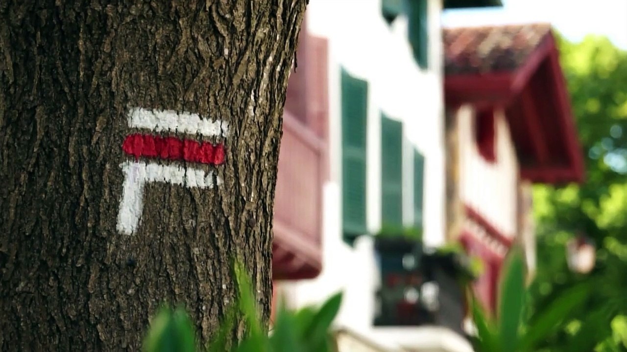 LES PYRENEES - Bande-annonce VF