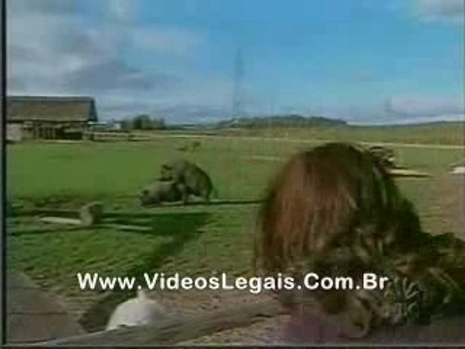 sexy comedia... hehe...