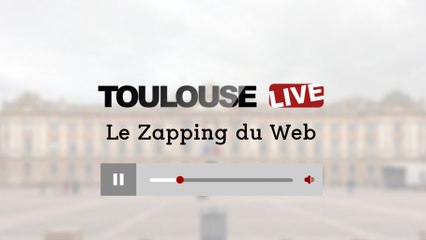 Toulouse : le zapping du web #8