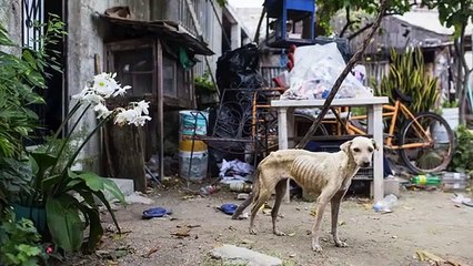 Bakıma alınınca öyle güzel oldu ki!