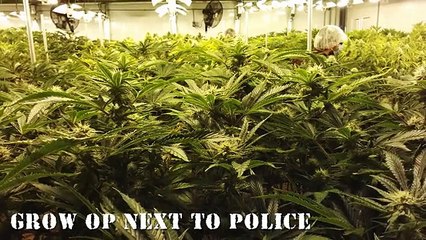 10 Worst Criminals Of All Time