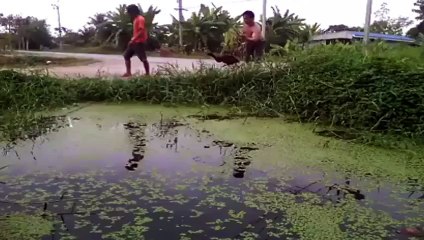 Bu nasıl balık avlama!!! Kuşla balık mı yakalanır