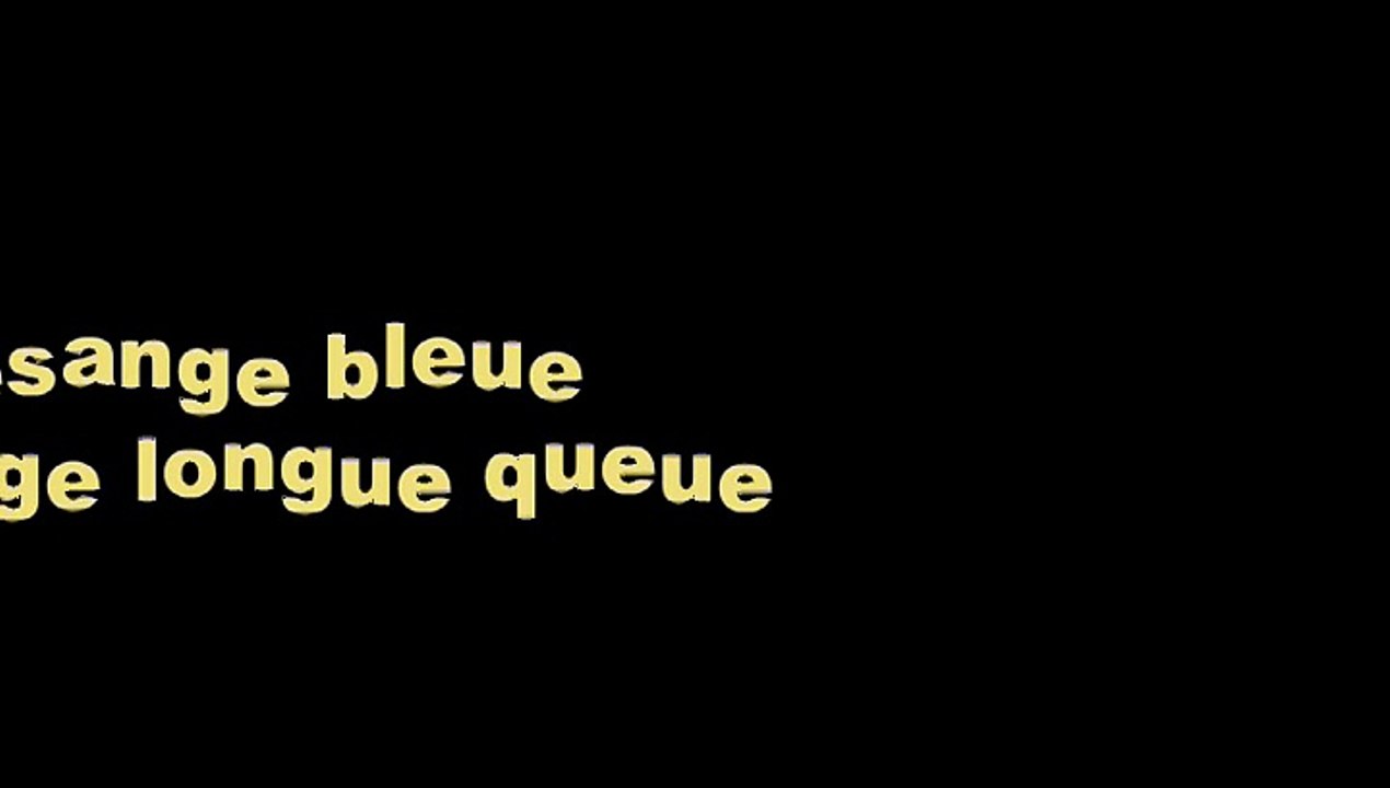 Deux mésanges différentes