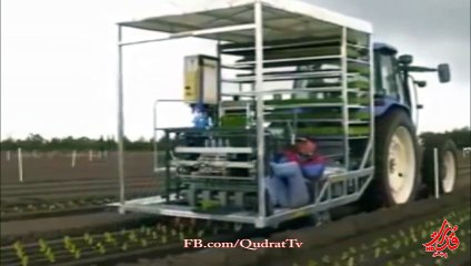 اين نحن من هذا.