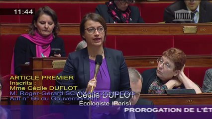 Intervention de Cécile Duflot sur l'état d'urgence