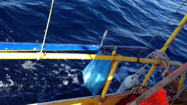 ΑΠΟΣΤΟΛΗ ΛΕΣΒΟΣ ΣΩΣΙΒΙΟ