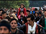 About 1000 migrants have not been allowed to enter Serbia