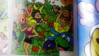 teenage mutant ninja turtles toute l'histoire des tortues ninja [Artbook]
