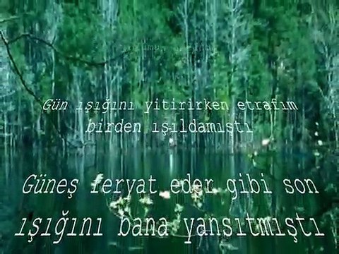 ŞİİR: BANA ÇAM AĞAÇLARININ SESİNİ TARİF EDEBİLİR MİSİN? (BOJİDAR ÇİPOF)