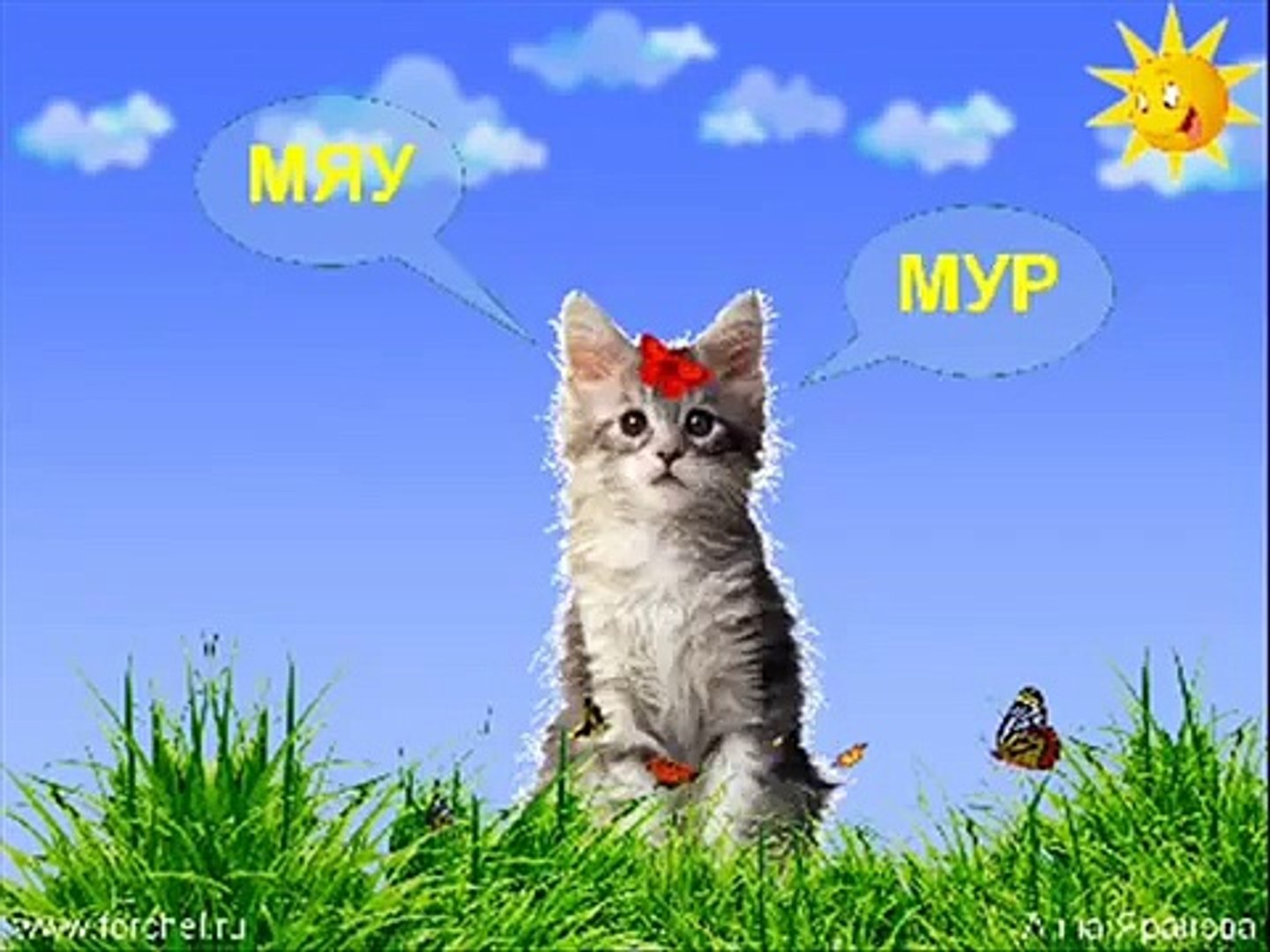 ⁣Как говорят животные
