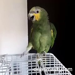 Dubsmash - Catching Fire _ Facebook