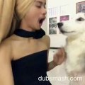 Dubsmash - Dubbing Husky _ Facebook